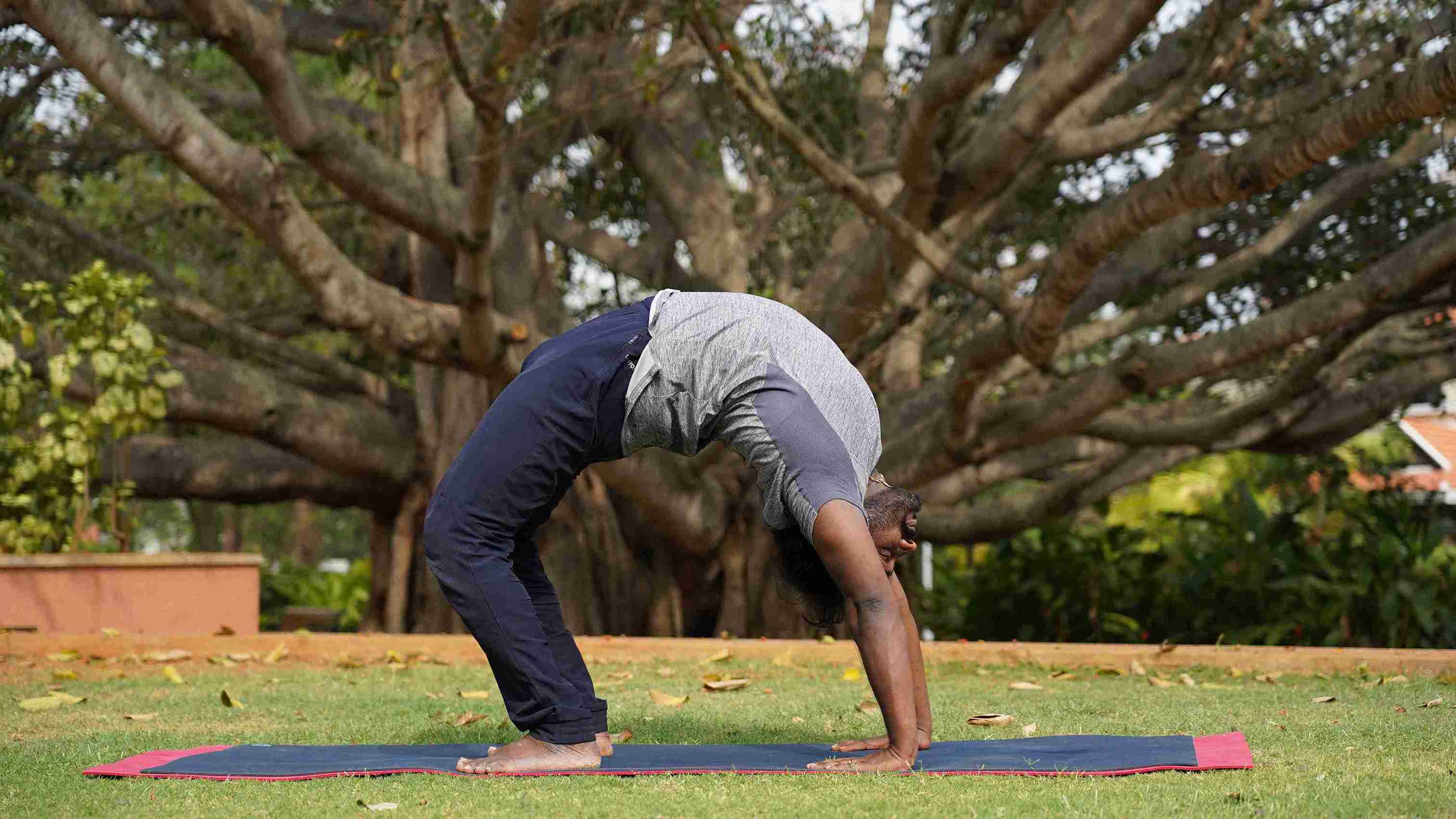 hatha yoga intermediate